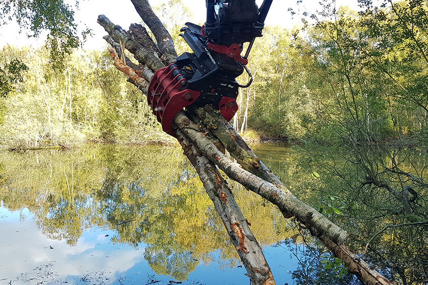 Forestry and Tree Shearing